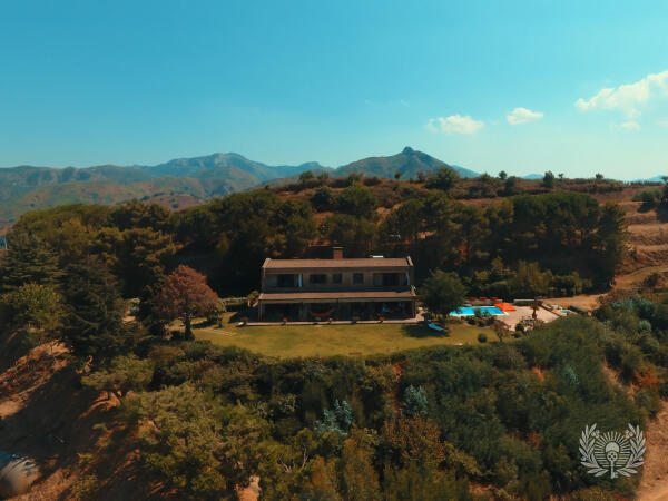 Villa Pellegrino
